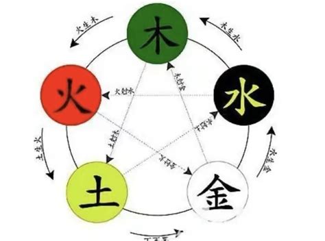 桐五行|桐字的五行属性